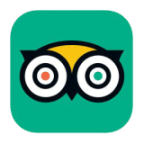 TripAdvisor Icon